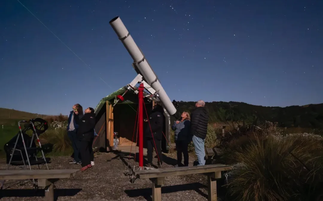 Astronomy Safari